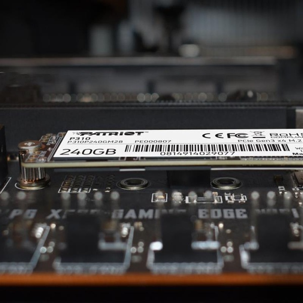 Накопичувач SSD 240GB Patriot P310 M.2 2280 PCIe NVMe 3.0 x4 TLC (P310P240GM28) P310P240GM28 фото