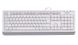 Клавіатура A4Tech Fstyler FKS10 White FKS10 (White) фото 1