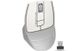 Мишка бездротова A4Tech FG30 Grey/White USB FG30 (Grey+White) фото 1