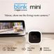 IP камера Amazon Blink Mini 1080P HD Indoor Smart Security (BCM00300U) BCM00300U фото 2