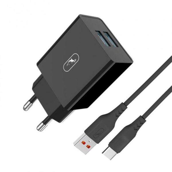 Зарядний пристрій SkyDolphin SC30T (2USB, 2.1A) Black (MZP-000171) + кабель USB Type-C MZP-000171 фото